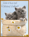6336dae18b6657206972e8cdd27f7fcd.gif