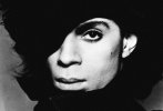 0522_prince (1).jpg