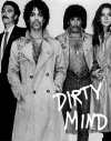 dirty-mind-tour-prince.jpg