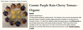 Cosmic_Purple_Rain_Cherry_Tomato.png